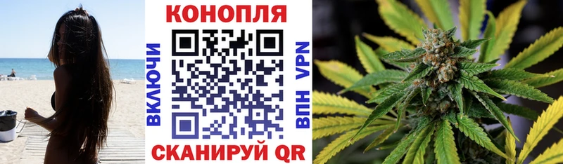 Шишки марихуана марихуана дарнет шоп ссылка на мегу зеркало Жуковка